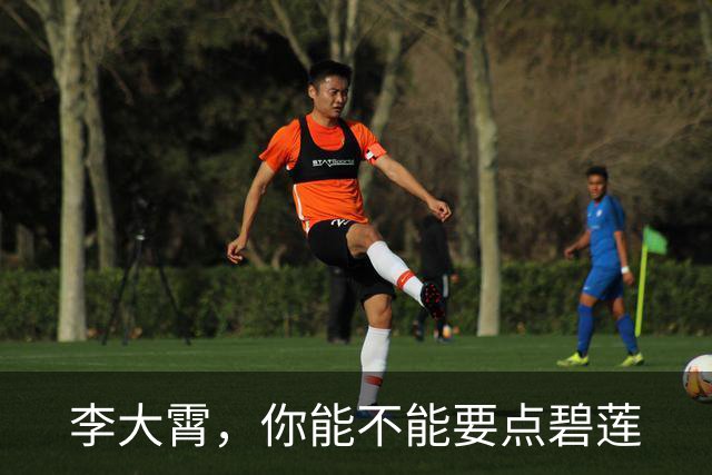 李大霄，你能不能要点碧莲